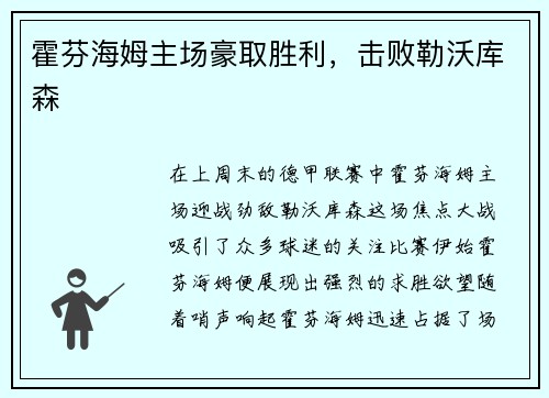 霍芬海姆主场豪取胜利，击败勒沃库森