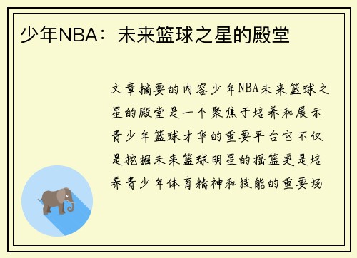 少年NBA：未来篮球之星的殿堂