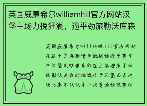 英国威廉希尔williamhill官方网站汉堡主场力挽狂澜，逼平劲旅勒沃库森 - 副本